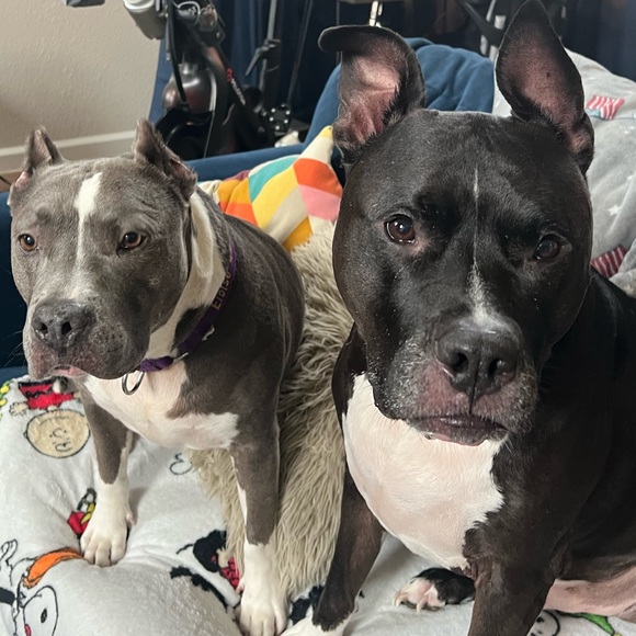 Meet your Posher, Laura - Picture 8 of 8